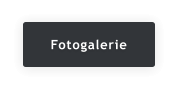 Fotogalerie